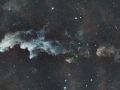 Hexenkopfnebel (IC2118) im Sternbild  Fluss Eridanus - Entfernung: ca. 1000 Lichtjahre  • Aufnahme: B.M. • Doerffel Sternwarte©