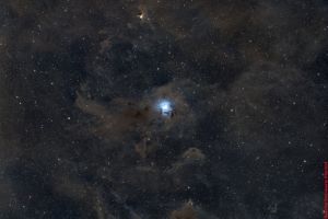 Iris-Nebel (NGC7023) Sternbild  Kepheus • Entfernung 1825 Lichtjahre | Aufnahme: B.M. • Doerffel Sternwarte©