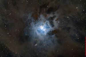 Iris-Nebel (NGC7023) Sternbild  Kepheus • Entfernung 1825 Lichtjahre | Teleskop CDK17inch | Aufnahme: B.M. • Doerffel Sternwarte©