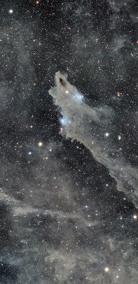 Shark Nebula (Hai-Nebel) (LDN1235) Sternbild  Kepheus • Entfernung ca. 652 Lichtjahre | Aufnahme: B.M. • Doerffel Sternwarte©