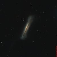 Leo-Triplett (NGC3628) Sternbild  Löwe • Entfernung ca. 35 Mio. Lichtjahre | Aufnahme: B.M. • Doerffel Sternwarte©