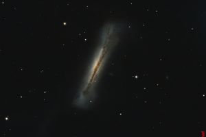 Leo-Triplett (NGC3628) Sternbild  Löwe • Entfernung ca. 35 Mio. Lichtjahre | Aufnahme: B.M. • Doerffel Sternwarte©