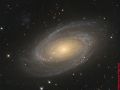 M81 Gruppe (Messier81- Bodes Galaxie ) Sternbild Großer Bär • Entfernung ca. 12 Mio. Lichtjahre | Teleskop CDK17inch | Aufnahme: B.M. / teilweise R.S. • Doerffel Sternwarte©