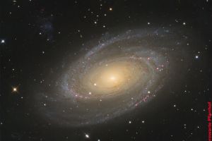 M81 Gruppe (Messier81- Bodes Galaxie ) Sternbild Großer Bär • Entfernung ca. 12 Mio. Lichtjahre | Teleskop CDK17inch | Aufnahme: B.M. / teilweise R.S. • Doerffel Sternwarte©