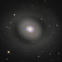 Messier94 - Starburstgalaxie - (Canes-Venatici-I-Galaxien-Gruppe) Sternbild Jadghunde • Entfernung ca. 16 Mio. Lichtjahre | Teleskop CDK17inch | Aufnahme: B.M. • Doerffel Sternwarte©