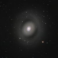 Messier94 - Starburstgalaxie - (Canes-Venatici-I-Galaxien-Gruppe) Sternbild Jadghunde • Entfernung ca. 16 Mio. Lichtjahre | Teleskop CDK17inch | Aufnahme: B.M. • Doerffel Sternwarte©