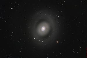 Messier94 - Starburstgalaxie - (Canes-Venatici-I-Galaxien-Gruppe) Sternbild Jadghunde • Entfernung ca. 16 Mio. Lichtjahre | Teleskop CDK17inch | Aufnahme: B.M. • Doerffel Sternwarte©
