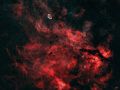 NGC 6888  &ndash; Crescent-Nebel und Umgebung Entfernung: ca. 4.700 Lichtjahre Gr&ouml;&szlig;e: ca. 25 Lichtjahre Sternbild: Schwan | Aufnahme B.M. | Teleskop: Mini radcat | Kamera: 2600MC AIR | Belichtung: 15x300 s