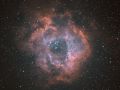 Rosettennebel (NGC2237)