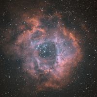 Rosettennebel (NGC2237)