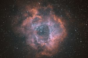 Rosettennebel (NGC2237)