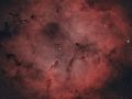 Elefantenrüsselnebel Komplex (IC1396A) - Sternbild Kepheus • Entfernung ca. 2400 Lichtjahre | Teleskop Refractor  Askar 103 auf 400mm f4 | Aufnahme: B.M. / R.S. • Doerffel Sternwarte©