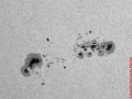 Sonnenfleck AR4048 am 03.04.2025 ca. 13Uhr • Aufnahme B.M. | Teleskop: TEC 160/1120 mit Herschelkeil • Doerffel Sternwarte©