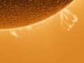 herzförmige (Loop) Protuberanz am südwestlichen Sonnenrand • Aufnahme B.M. | Teleskop: ST 130/910 LS130MT Ha B3400 • Doerffel Sternwarte