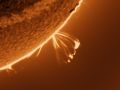herzförmige (Loop) Protuberanz am südwestlichen Sonnenrand • Aufnahme B.M. | Teleskop: ST 130/910 LS130MT Ha B3400 • Doerffel Sternwarte