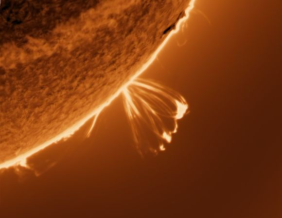 herzförmige (Loop) Protuberanz am südwestlichen Sonnenrand • Aufnahme B.M. | Teleskop: ST 130/910 LS130MT Ha B3400 • Doerffel Sternwarte herzförmige (Loop) Protuberanz am südwestlichen Sonnenrand • Aufnahme B.M. | Teleskop: ST 130/910 LS130MT Ha B3400 • Doerffel Sternwarte