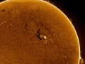 Sonnenfleck und Rand-Protuberanzen • Aufnahme B.M. | Teleskop: ST 130/910 LS130MT Ha B3400 • Doerffel Sternwarte