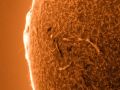 Ost Seite der Sonne mit Protuberanz und Sonnenfleck am Sonnenrand • Aufnahme B.M. | Teleskop: ST 130/910 LS130MT Ha B3400 • Doerffel Sternwarte